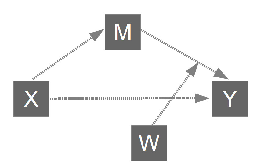 image PROCESS_model_14.jpg