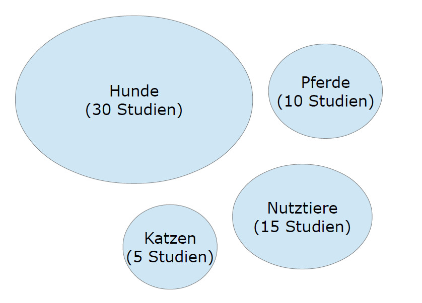 Grafik Beispiele Studienanzahl